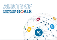 IDI-EUROSAI webinar: Growing competent SAI SDG Auditors to audit the SDGs