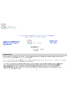Final Report_Portfolio on Relations with INTOSAI and its Regional Organisations_2017-2024