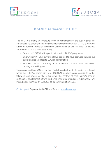 Promotion of SDGs audit in Europe