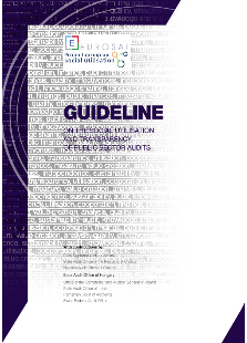 Guideline on the social utilisation and transparency of public sector audits
