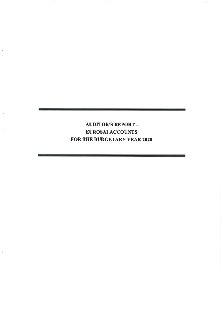 EUROSAI Auditors’ Reports 2020 