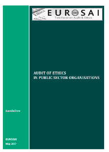 Audit of Etichs in Public Sector Organisations (Guideline)